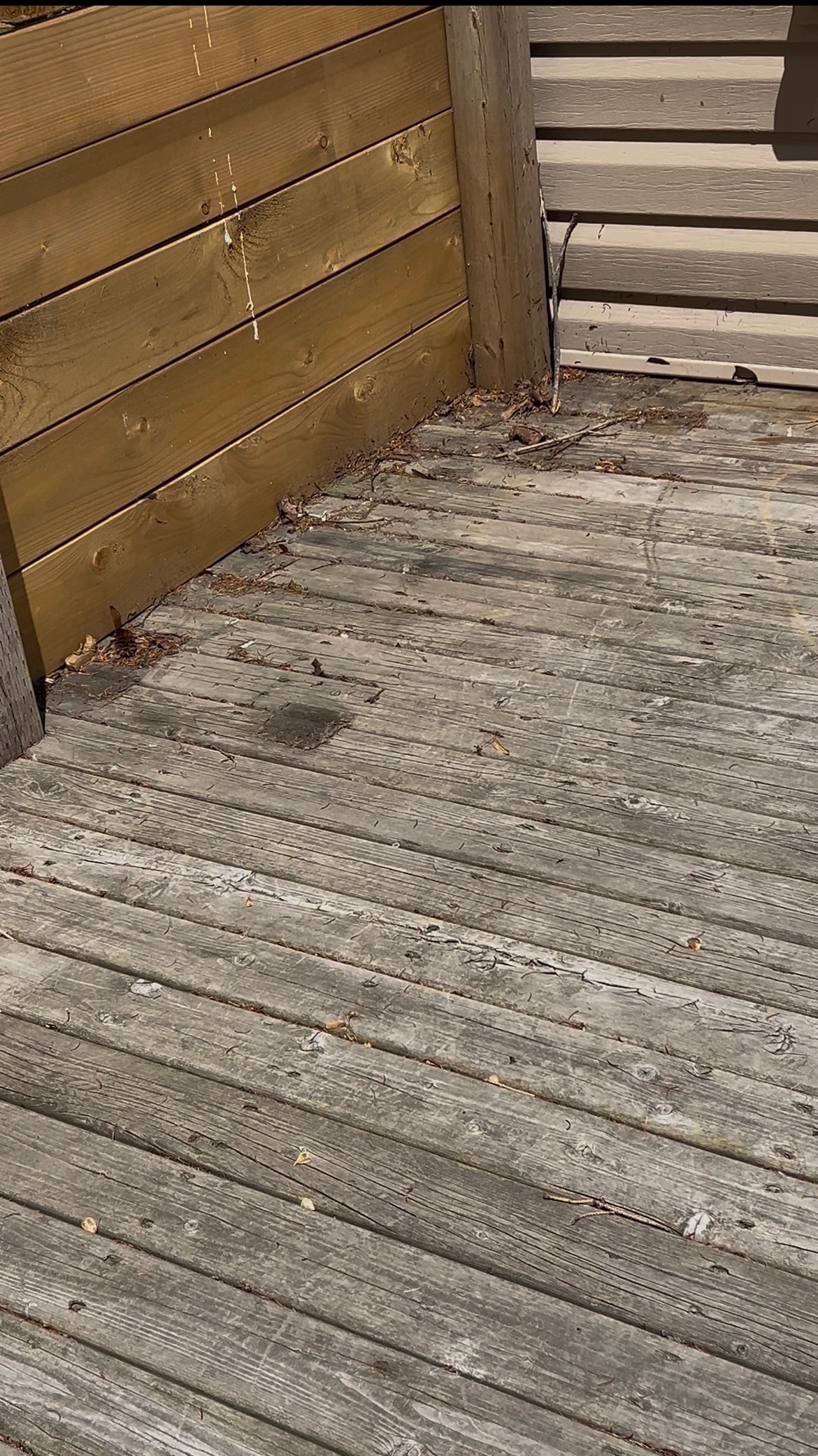 Weathered deck boards before cleaning