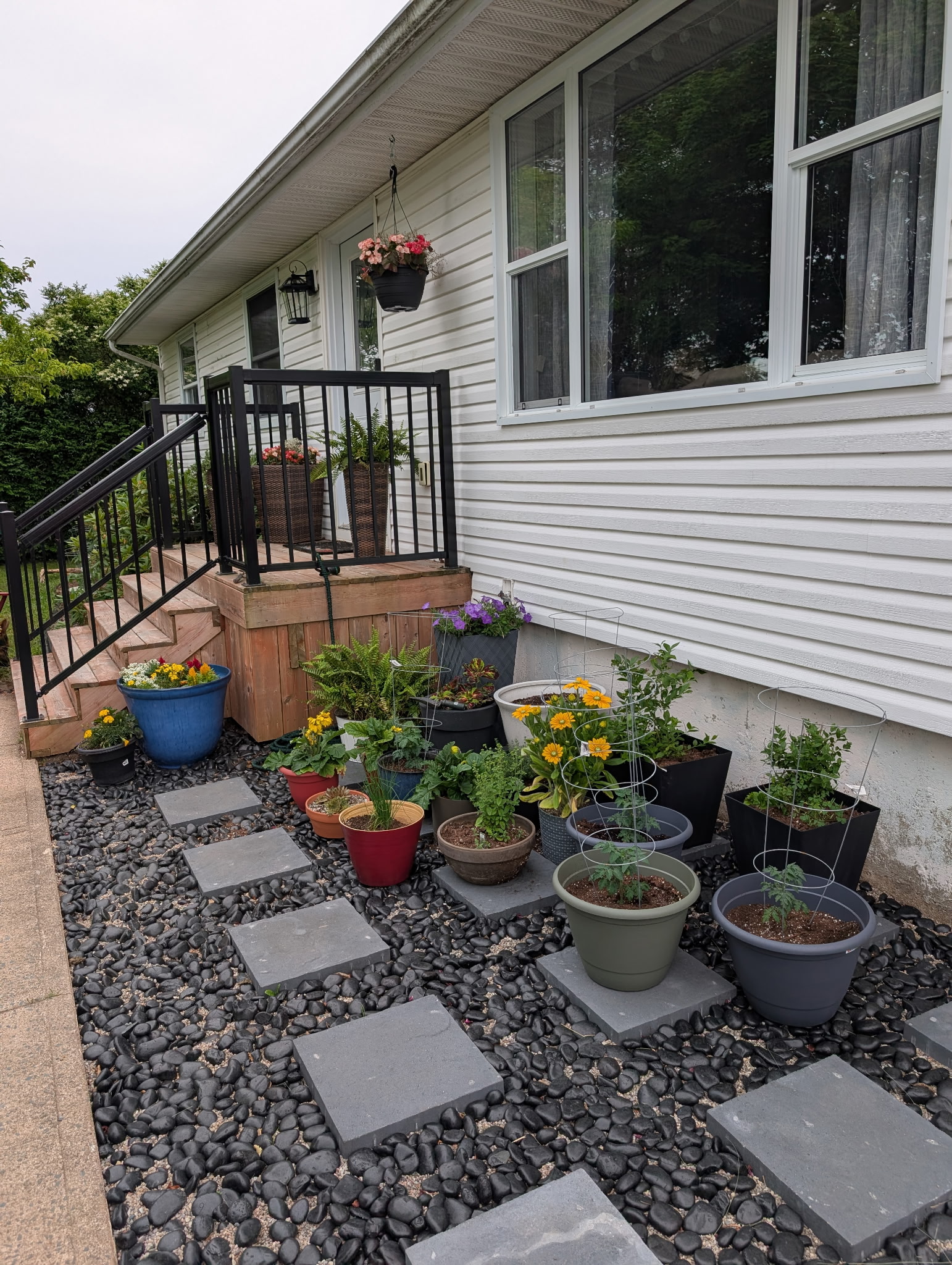 After - full garden with plants